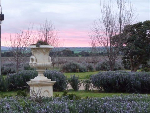 Angas Plains Wines Suites - South Australia Travel 3