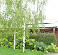 Birralee Cottage - South Australia Travel