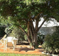 Bev's Retreat Bed and Breakfast - South Australia Travel