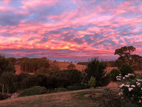 Avaleigh Elms Farmstay - South Australia Travel 5