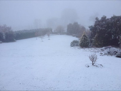 Avaleigh Elms Farmstay - South Australia Travel 6