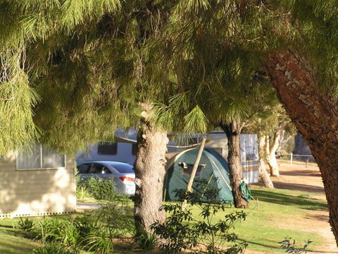 Barmera North Lake Caravan Park - South Australia Travel 0