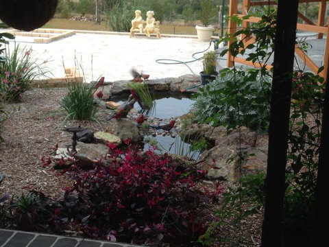 BellbirdHill Bed And Breakfast - South Australia Travel 8