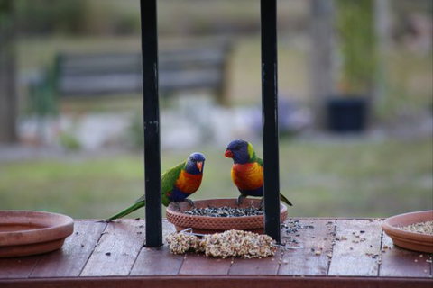 BellbirdHill Bed And Breakfast - South Australia Travel 9