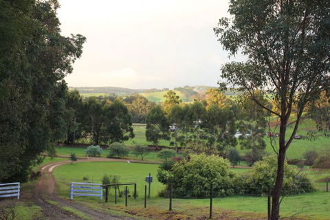 Blue House Bed And Breakfast - South Australia Travel 1