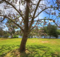 Breakaway Twin Rivers Caravan Park - South Australia Travel