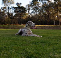 Hunter Valley Retreat - South Australia Travel