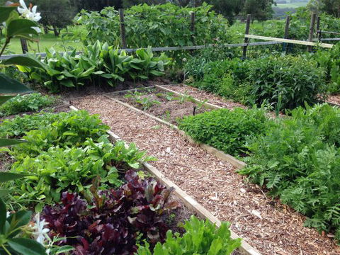 Jamberoo Valley Farm - South Australia Travel 3
