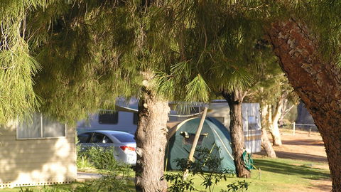Barmera North Lake Caravan Park - South Australia Travel 4