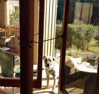 Mara Ponds Branxholm - South Australia Travel