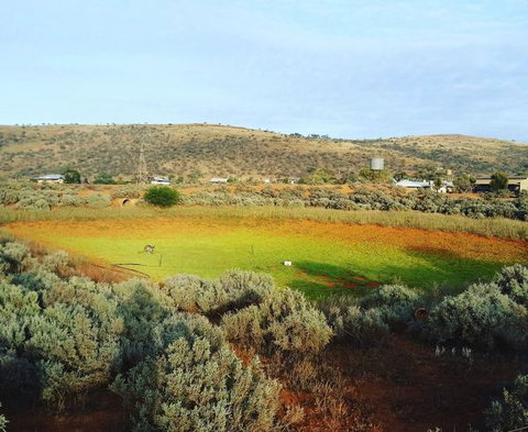 Mount Ive - South Australia Travel 0