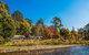 Porepunkah Bridge Holiday Park - thumb 0