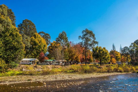 Porepunkah Bridge Holiday Park - South Australia Travel 0