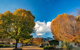 Porepunkah Bridge Holiday Park - thumb 3