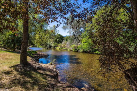 Porepunkah Bridge Holiday Park - South Australia Travel 5