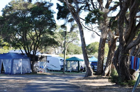 Queenscliff Tourist Park - South Australia Travel 2