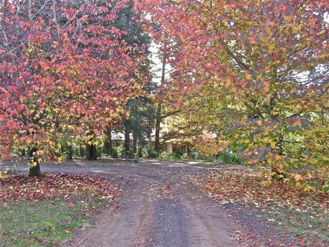 Rustic Spirit - South Australia Travel 0