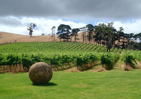 Sandalwood Shearing Shed - South Australia Travel 7