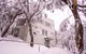 Schuss Lodge Mt Buller - thumb 0