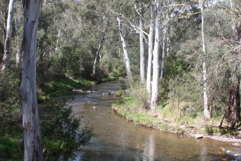 Stockyard Creek - South Australia Travel 2