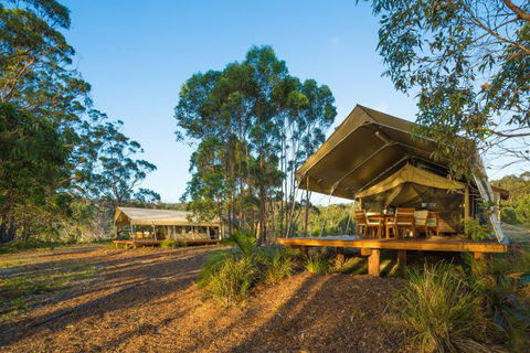 Tanja Lagoon Camp - South Australia Travel 0