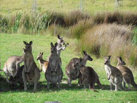 Tanja Lagoon Camp - South Australia Travel 6