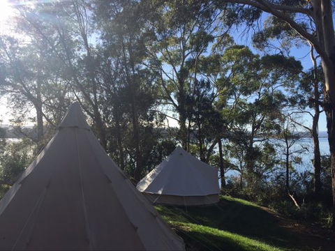 Wingtons Glamping Clarence Point - South Australia Travel 2