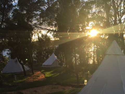 Wingtons Glamping Clarence Point - South Australia Travel 6