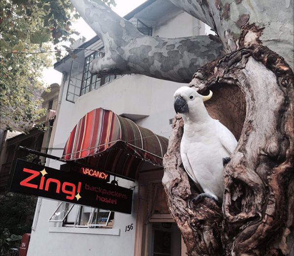 Potts Point NSW South Australia Travel