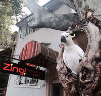 Zing Backpackers Hostel - South Australia Travel