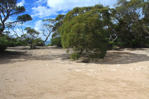 Acraman Creek Conservation Park Campgrounds - South Australia Travel 0