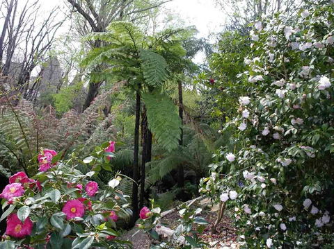Adelaide Hills B&B Accommodation - South Australia Travel 3