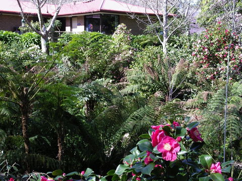 Adelaide Hills B&B Accommodation - South Australia Travel 6