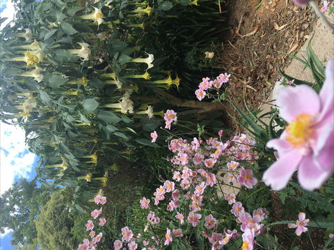 Adelaide Hills B&B Accommodation - South Australia Travel 7