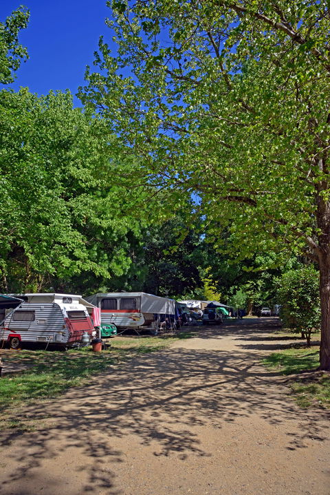 Ardern's Caravan Park Myrtleford - South Australia Travel 1