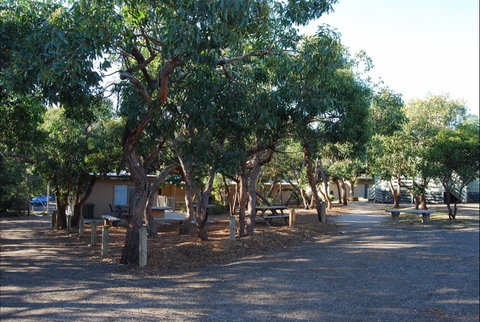 Burnside Camp - South Australia Travel 5