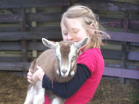 Eden Orchard And Farmstay - South Australia Travel 3