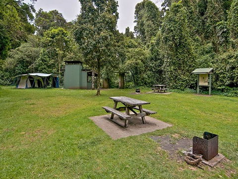 Forest Tops Campground - South Australia Travel 0