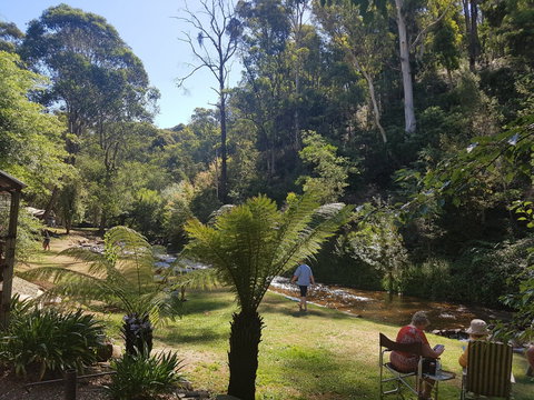 Harrietville Cabins And Caravan Park - South Australia Travel 7