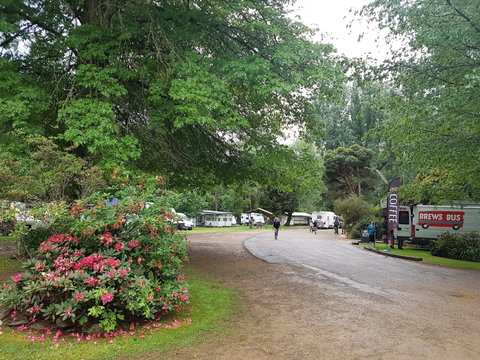 Harrietville Cabins And Caravan Park - South Australia Travel 8