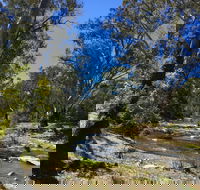 Highfield Farm and Woodland Bush Campsites - South Australia Travel