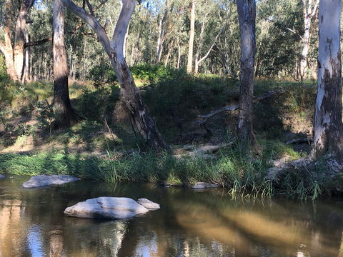 Highfield Farm And Woodland Bush Campsites - South Australia Travel 1