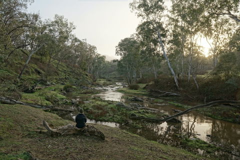 Highfield Farm And Woodland Bush Campsites - South Australia Travel 2