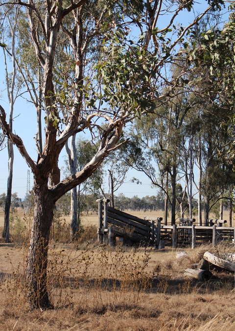 Keira Farm - South Australia Travel 3