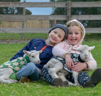 Narnu  Farm Farm stay/ School Camp - South Australia Travel