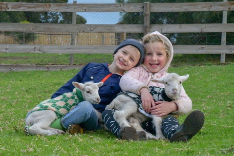 Narnu  Farm (Farm Stay/ School Camp) - South Australia Travel 0
