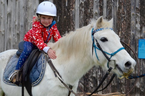 Narnu  Farm (Farm Stay/ School Camp) - South Australia Travel 1