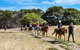 Narnu  Farm (Farm Stay/ School Camp) - thumb 2