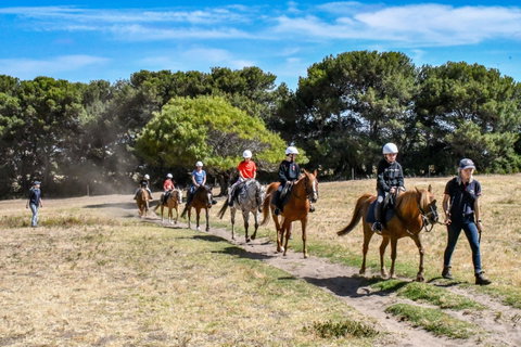 Narnu  Farm (Farm Stay/ School Camp) - South Australia Travel 2