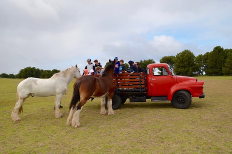 Narnu  Farm (Farm Stay/ School Camp) - South Australia Travel 3